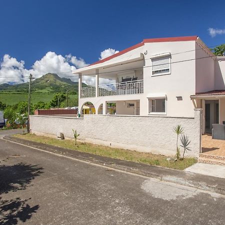 Alpinia - Appt Avec Piscine Partagee Apartment Saint-Pierre Bagian luar foto